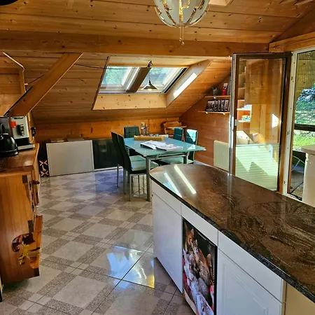 Gemuetliche Mit Sauna Inmitten Der Berge * Meiringen