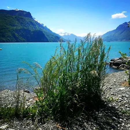 Gemuetliche Mit Sauna Inmitten Der Berge Lägenhet Meiringen