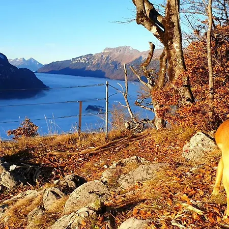 Lägenhet Gemuetliche Mit Sauna Inmitten Der Berge