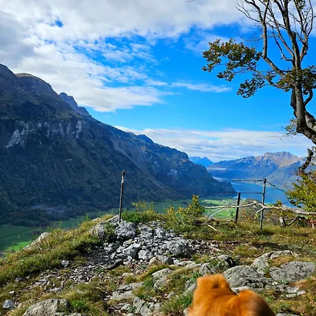 Lägenhet Gemuetliche Mit Sauna Inmitten Der Berge Meiringen