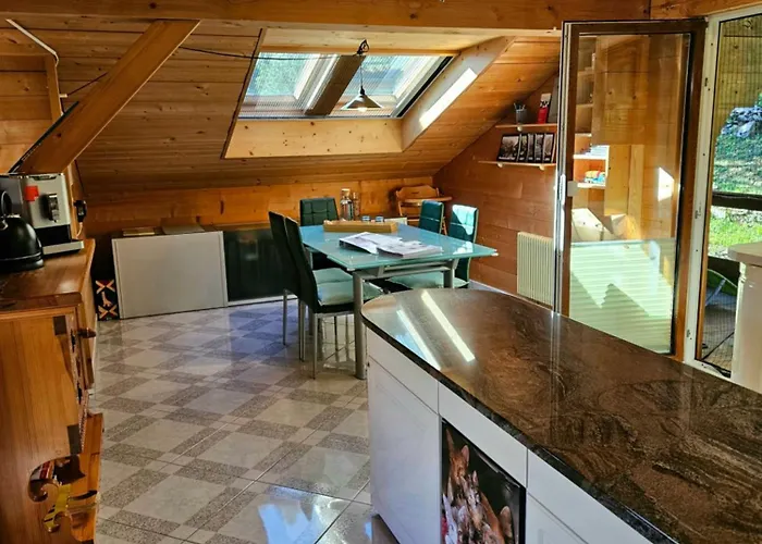 Gemuetliche Mit Sauna Inmitten Der Berge * Meiringen