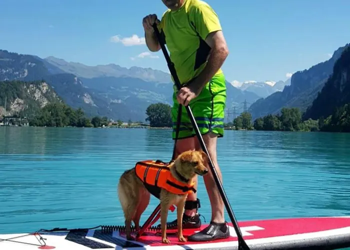 Gemuetliche Mit Sauna Inmitten Der Berge Meiringen