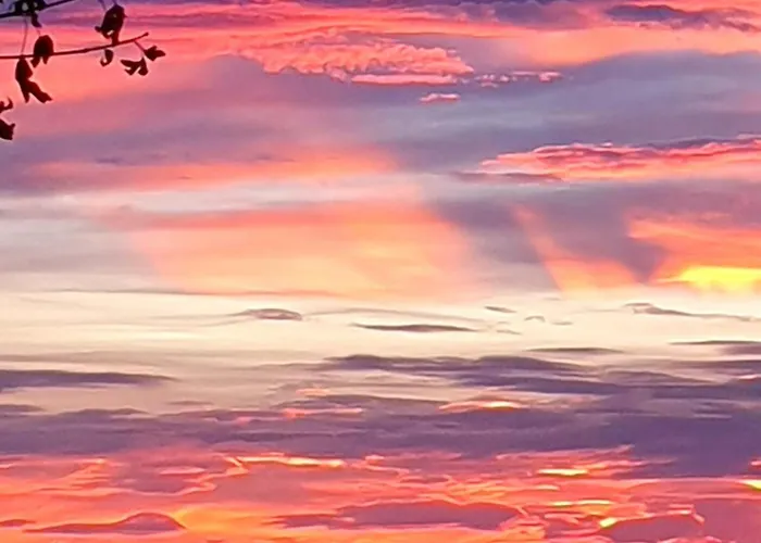 Gemuetliche Mit Sauna Inmitten Der Berge Lejlighed Meiringen