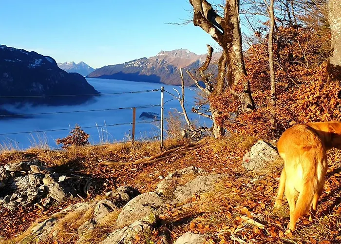 Lejlighed Gemuetliche Mit Sauna Inmitten Der Berge