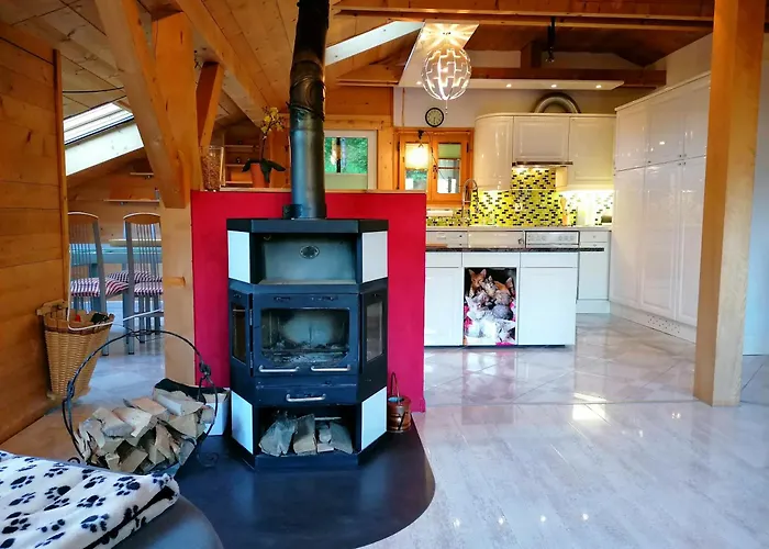 Gemuetliche Mit Sauna Inmitten Der Berge Lejlighed Meiringen