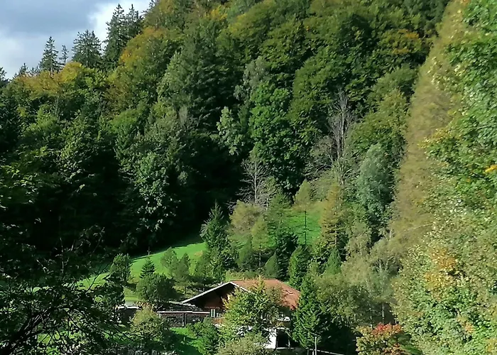 Gemuetliche Mit Sauna Inmitten Der Berge * Meiringen