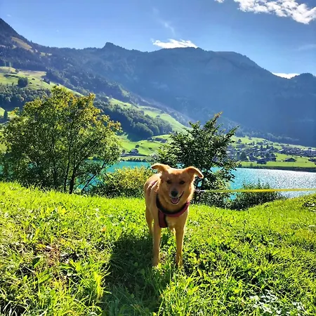 דירה Gemuetliche Mit Sauna Inmitten Der Berge *
