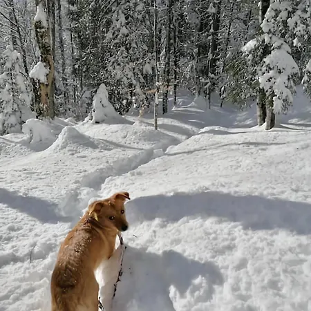 Gemuetliche Mit Sauna Inmitten Der Berge * מירינגן