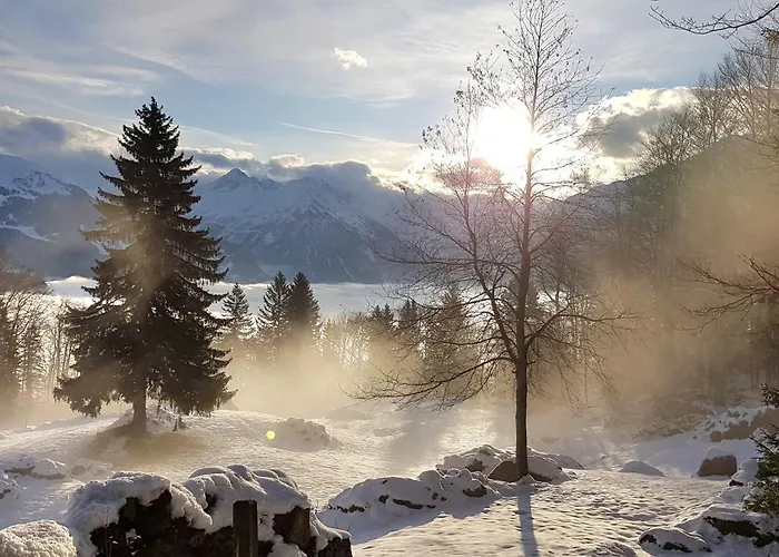 Gemuetliche Mit Sauna Inmitten Der Berge * Meiringen