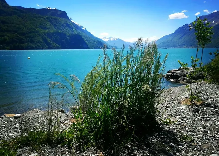Gemuetliche Mit Sauna Inmitten Der Berge Appartamento Meiringen
